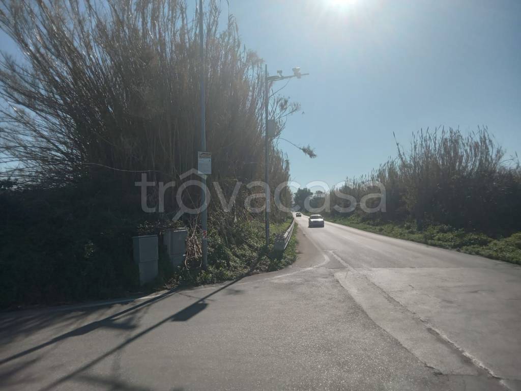 terreno agricolo in vendita a Giugliano in Campania in zona Varcaturo