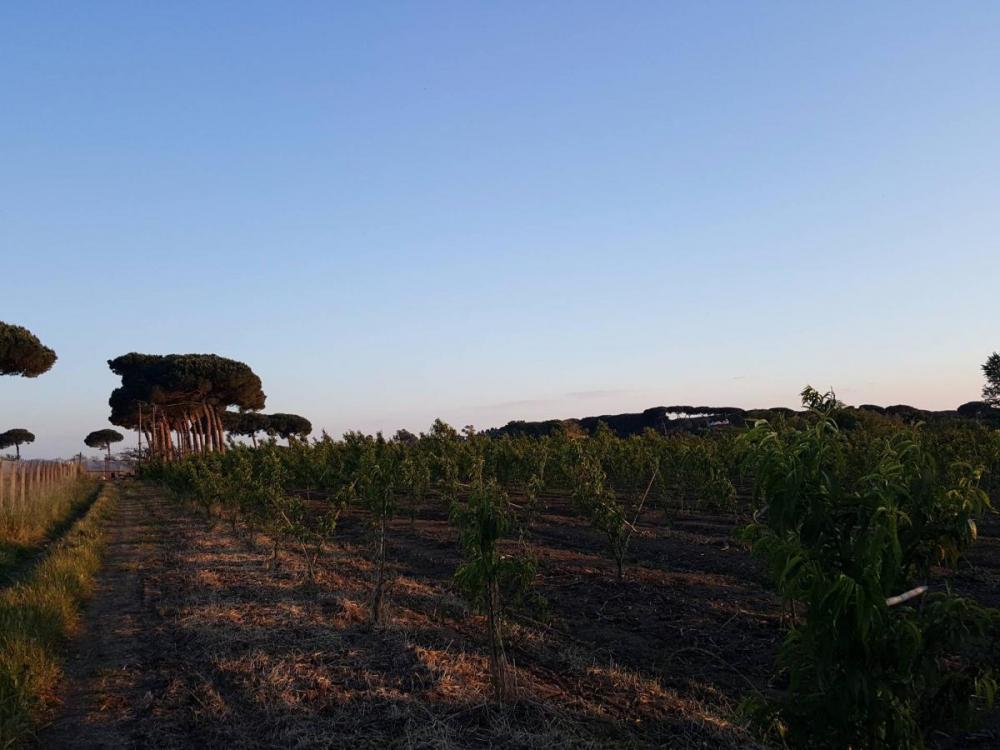 ufficio in vendita a Giugliano in Campania