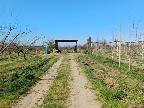 terreno agricolo in vendita a Giugliano in Campania in zona Varcaturo