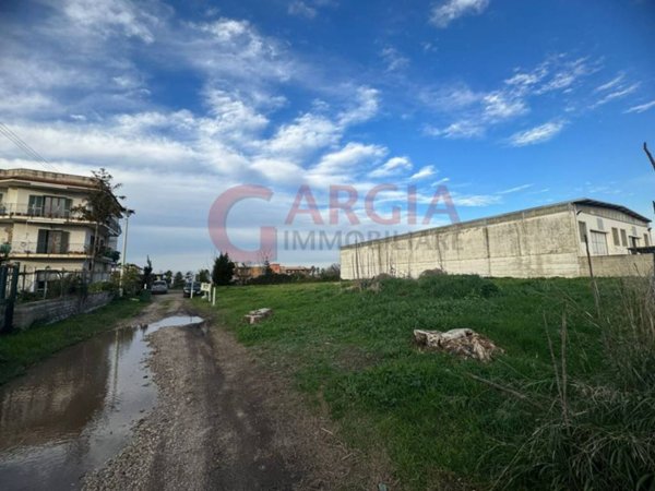 terreno agricolo in vendita a Giugliano in Campania in zona Varcaturo