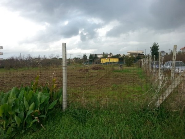 terreno agricolo in vendita a Giugliano in Campania in zona Licola