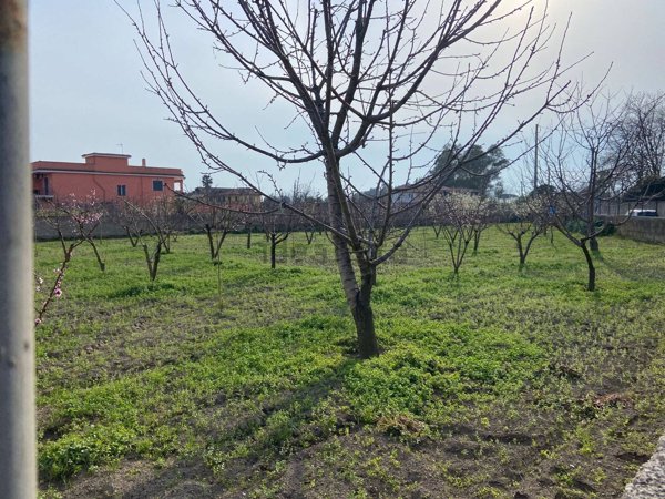 terreno agricolo in vendita a Giugliano in Campania in zona Varcaturo