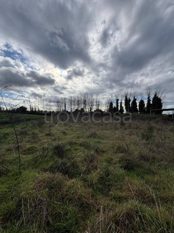 terreno agricolo in vendita a Giugliano in Campania in zona Varcaturo
