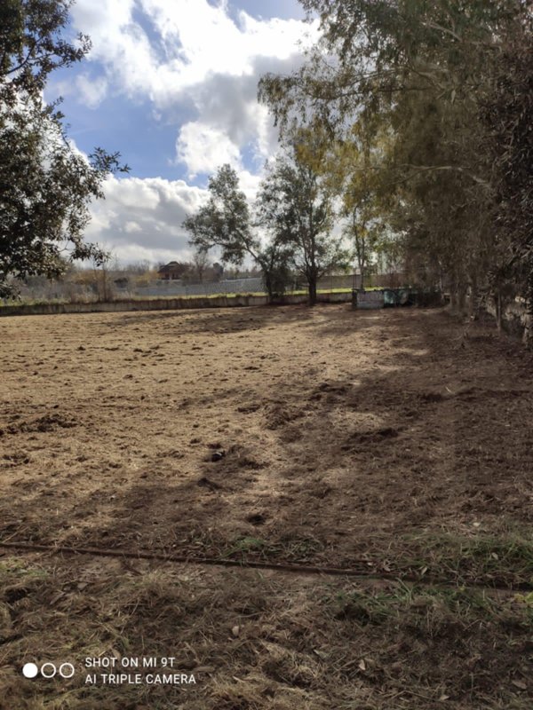 terreno agricolo in vendita a Giugliano in Campania in zona Varcaturo