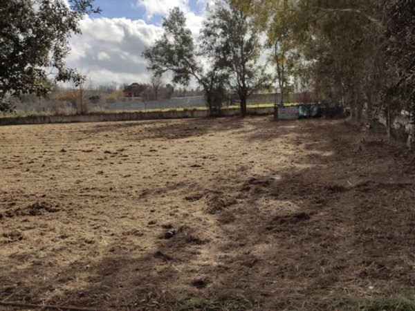 terreno agricolo in vendita a Giugliano in Campania in zona Varcaturo