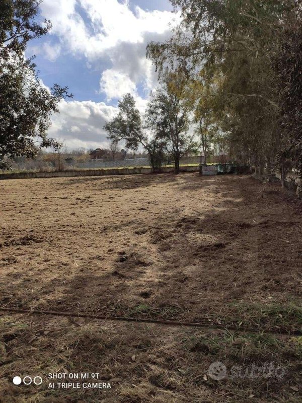 terreno agricolo in vendita a Giugliano in Campania in zona Varcaturo