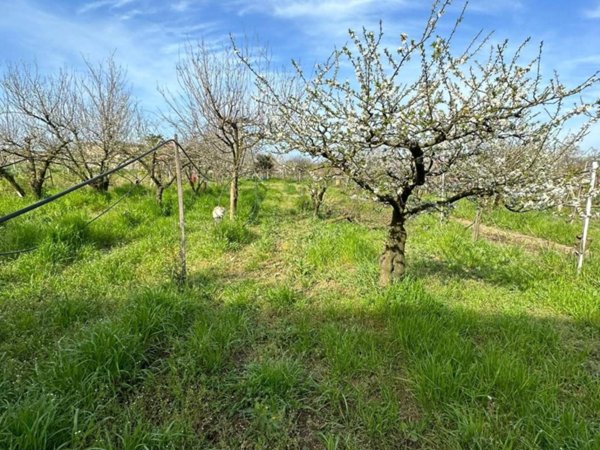 terreno agricolo in vendita a Giugliano in Campania in zona Varcaturo