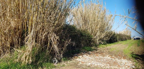 terreno agricolo in vendita a Giugliano in Campania in zona Lago Patria