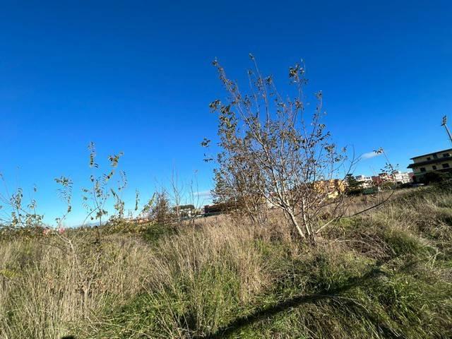 terreno agricolo in vendita a Giugliano in Campania in zona Casacelle
