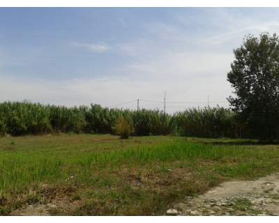 terreno agricolo in vendita a Giugliano in Campania in zona Licola