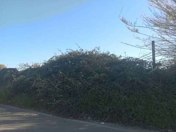 terreno agricolo in vendita a Giugliano in Campania