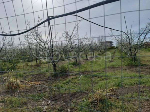 terreno agricolo in vendita a Giugliano in Campania in zona Licola