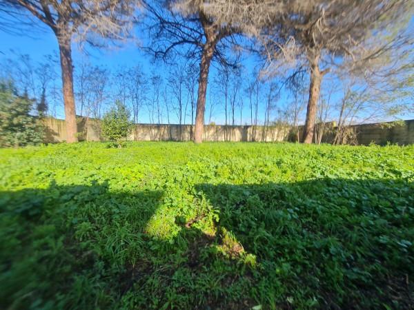 terreno agricolo in vendita a Giugliano in Campania in zona Varcaturo