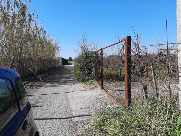 terreno agricolo in vendita a Giugliano in Campania in zona Casacelle