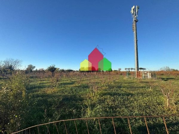 terreno agricolo in vendita a Giugliano in Campania in zona Varcaturo