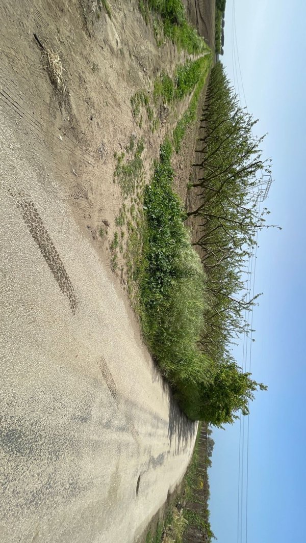 terreno agricolo in vendita a Giugliano in Campania