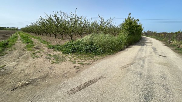 terreno agricolo in vendita a Giugliano in Campania