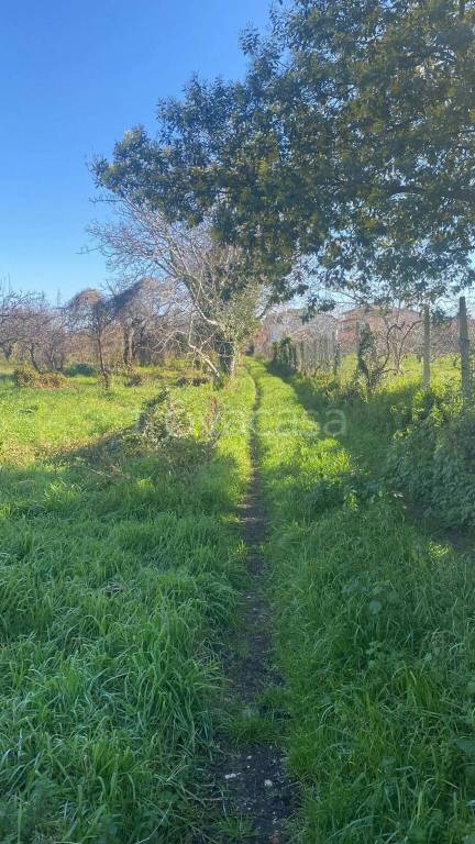 terreno agricolo in vendita a Giugliano in Campania in zona Massariola / Amodio