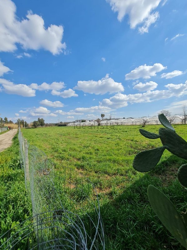 terreno agricolo in vendita a Giugliano in Campania
