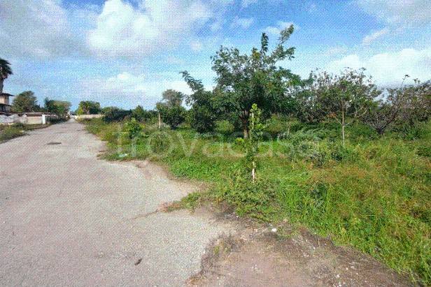 terreno agricolo in vendita a Giugliano in Campania