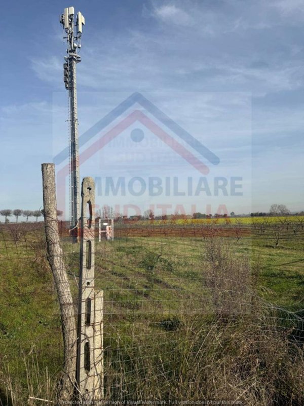 terreno agricolo in vendita a Giugliano in Campania in zona Varcaturo