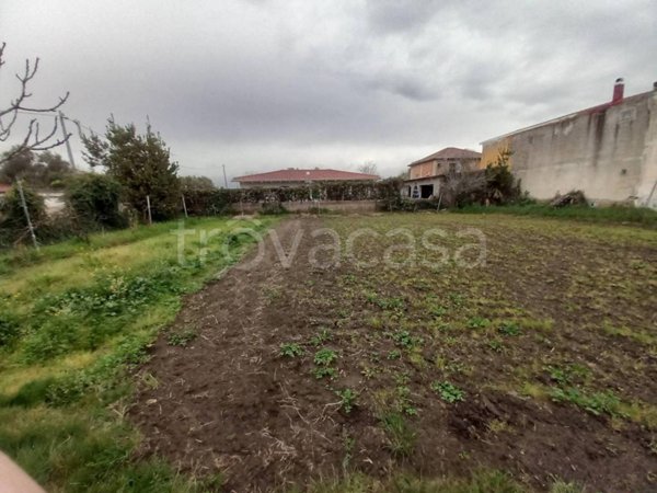 terreno agricolo in vendita a Giugliano in Campania in zona Varcaturo