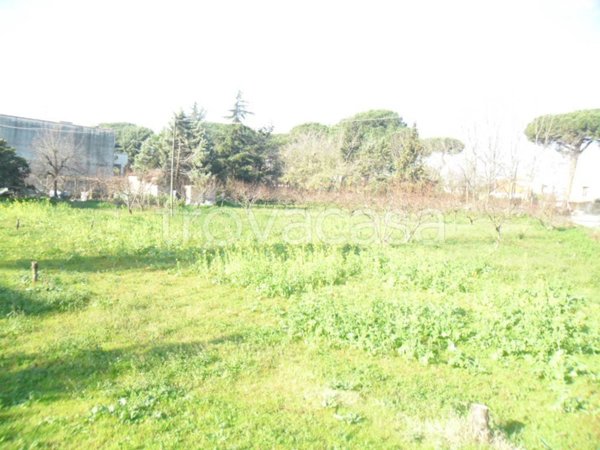 terreno agricolo in vendita a Giugliano in Campania in zona Varcaturo