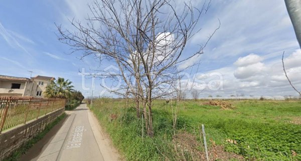 terreno agricolo in vendita a Giugliano in Campania in zona Varcaturo