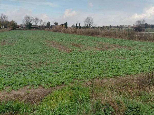 terreno agricolo in vendita a Giugliano in Campania in zona Licola