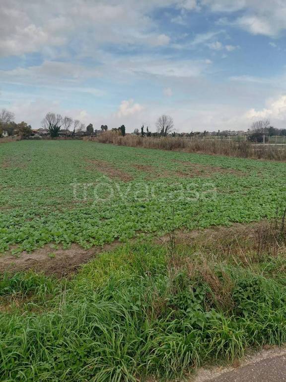 terreno agricolo in vendita a Giugliano in Campania in zona Varcaturo