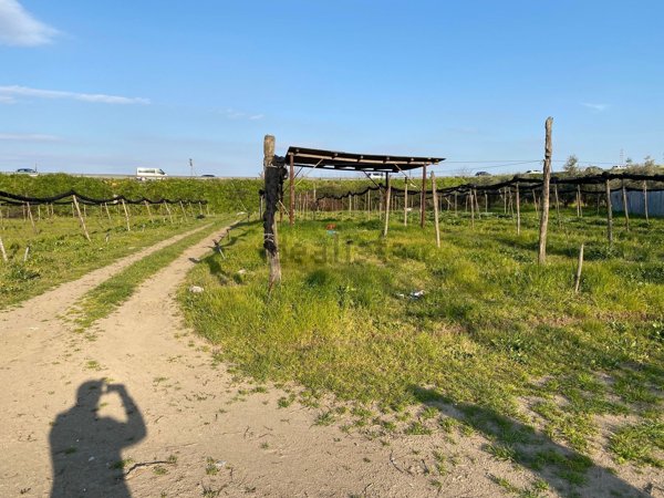 terreno agricolo in vendita a Giugliano in Campania in zona Casacelle