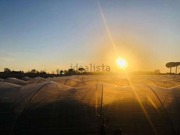 terreno agricolo in vendita a Giugliano in Campania