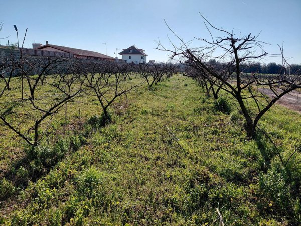 terreno agricolo in vendita a Giugliano in Campania
