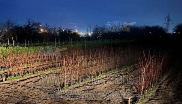 terreno agricolo in vendita a Giugliano in Campania