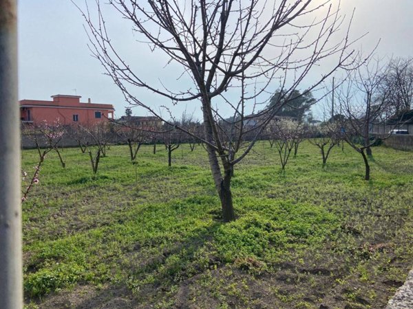 terreno agricolo in vendita a Giugliano in Campania in zona Varcaturo