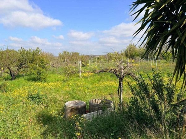 terreno agricolo in vendita a Giugliano in Campania