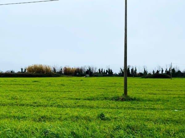 terreno agricolo in vendita a Giugliano in Campania