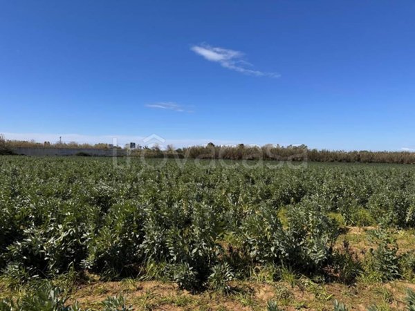 terreno agricolo in vendita a Giugliano in Campania in zona Massariola / Amodio