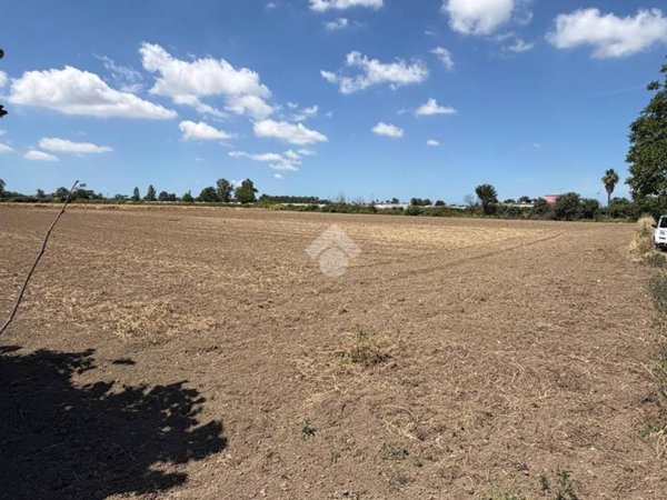 terreno agricolo in vendita a Giugliano in Campania in zona Casacelle