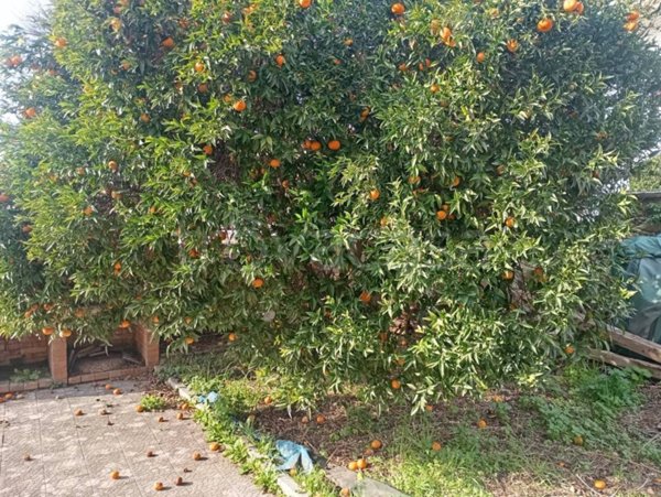 casa indipendente in vendita a Giugliano in Campania in zona Massariola / Amodio
