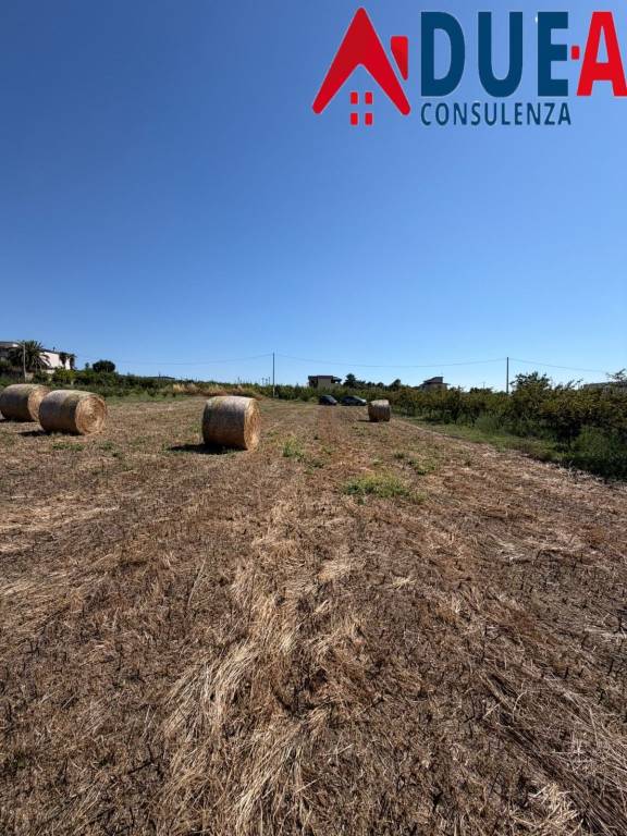 terreno agricolo in vendita a Giugliano in Campania in zona Massariola / Amodio
