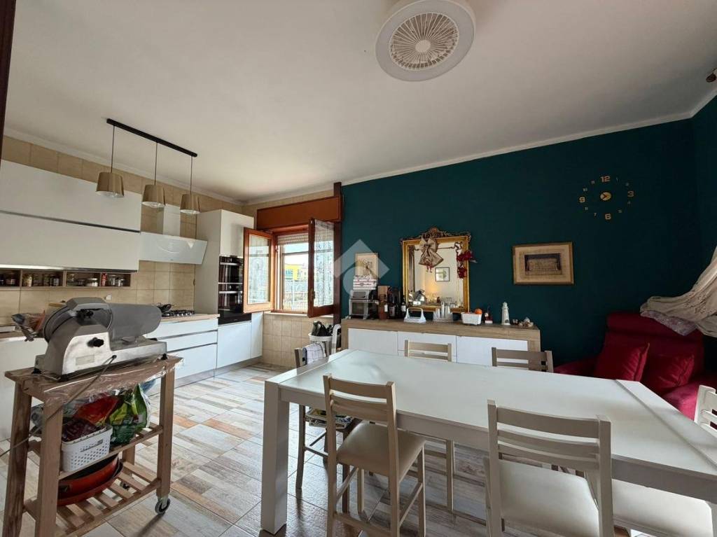 immagine annuncio 0 di 15