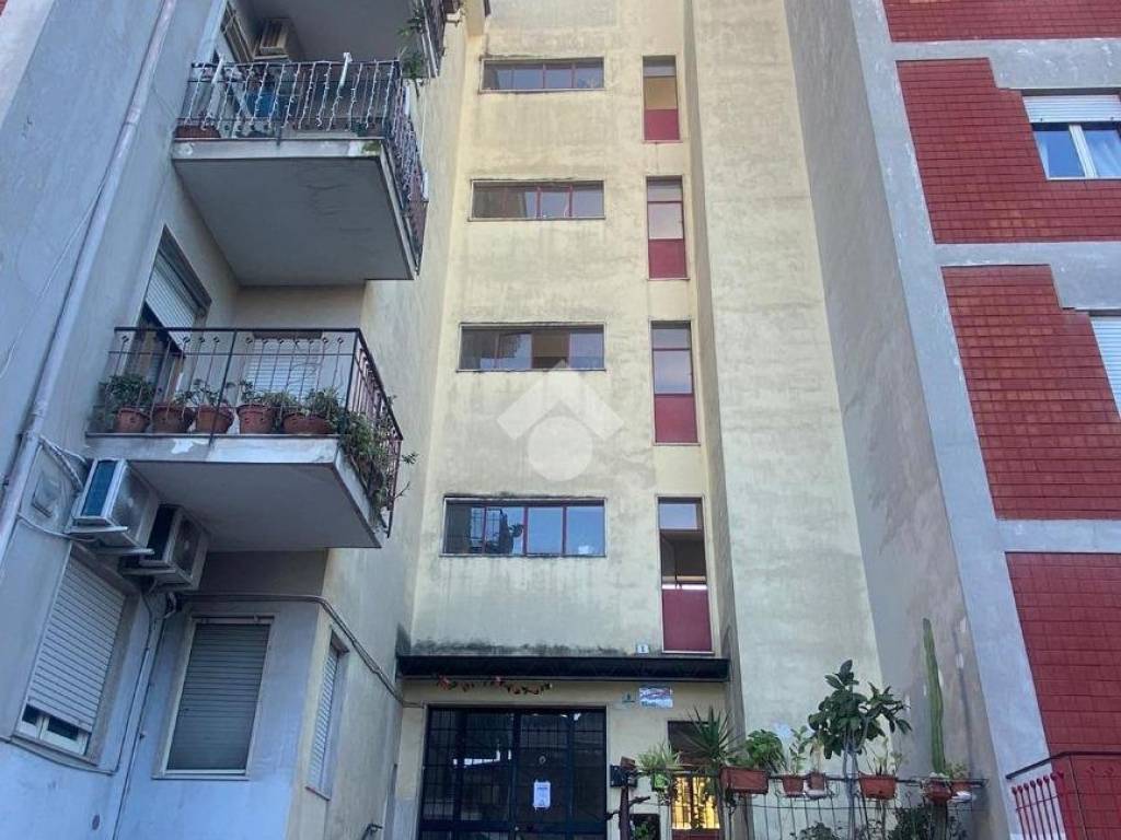 appartamento in vendita a Grumo Nevano