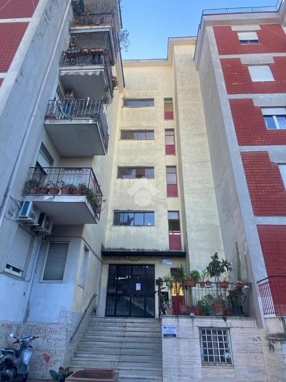 appartamento in vendita a Grumo Nevano