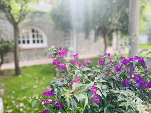 casa indipendente in vendita ad Ischia