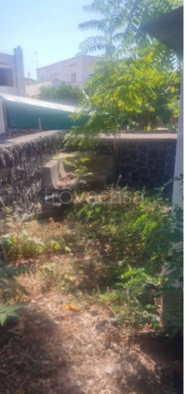 pentavano in vendita ad Ischia