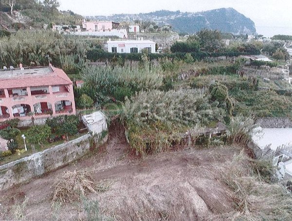 casa indipendente in vendita ad Ischia