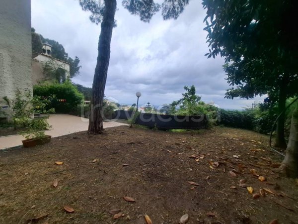 appartamento in vendita ad Ischia