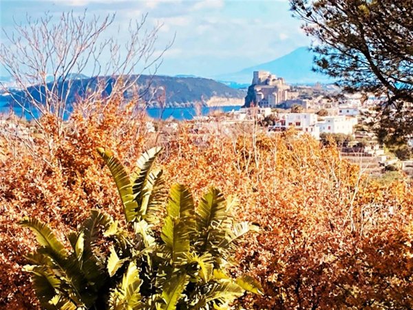 appartamento in vendita ad Ischia