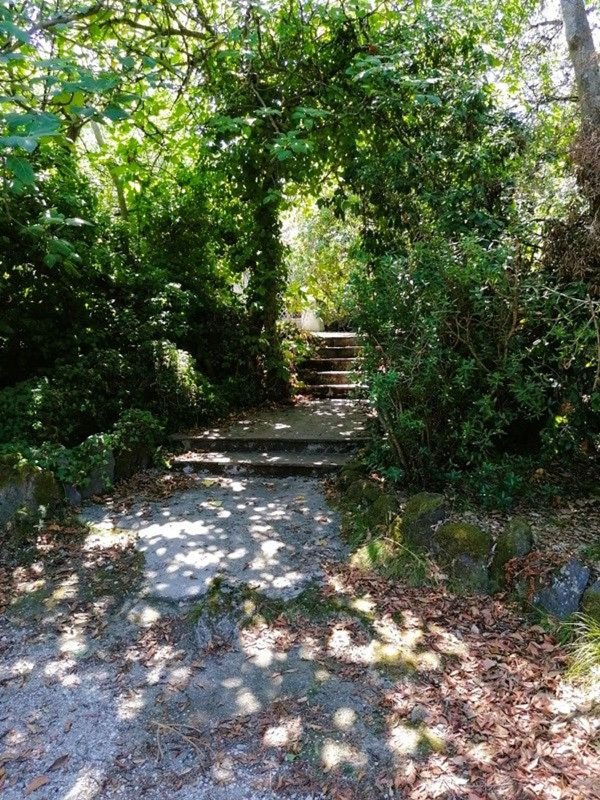 casa indipendente in vendita ad Ischia